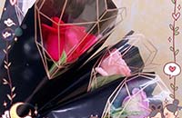 春風(fēng)十里  · “原”來(lái)有你