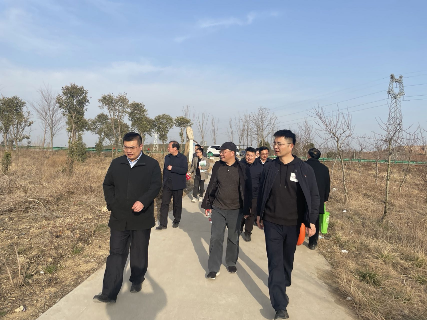 國家級試點(diǎn)項(xiàng)目協(xié)同調(diào)研——完善落實(shí)政府政策獲肯定